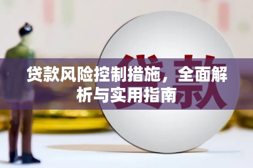 凉州贷款风险控制措施，全面解析与实用指南