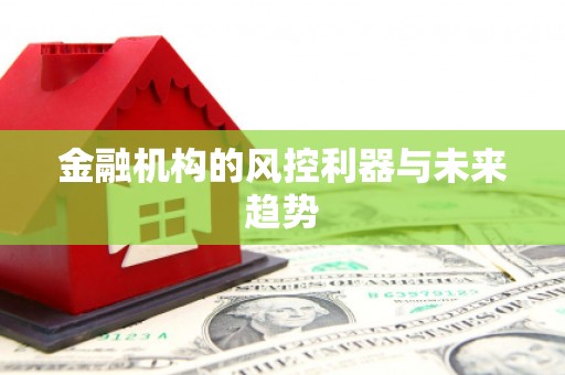 凉州金融机构的风控利器与未来趋势
