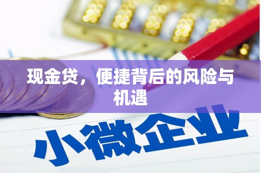 凉州现金贷，便捷背后的风险与机遇