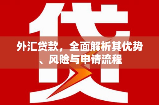 凉州外汇贷款，全面解析其优势、风险与申请流程