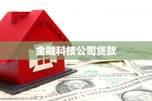 凉州金融科技公司贷款