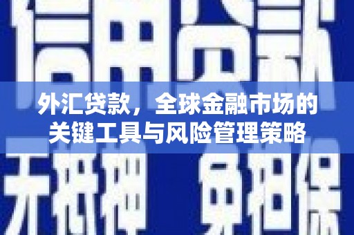 凉州外汇贷款，全球金融市场的关键工具与风险管理策略