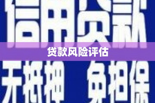 凉州贷款风险评估