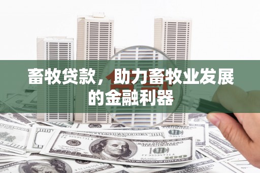 凉州畜牧贷款，助力畜牧业发展的金融利器