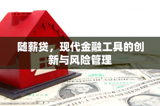 凉州随薪贷，现代金融工具的创新与风险管理