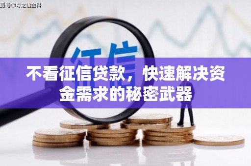 凉州不看征信贷款，快速解决资金需求的秘密武器