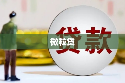 凉州微粒贷