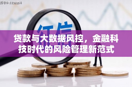 凉州贷款与大数据风控，金融科技时代的风险管理新范式