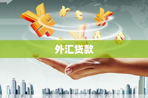 凉州外汇贷款