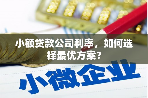 凉州小额贷款公司利率，如何选择最优方案？