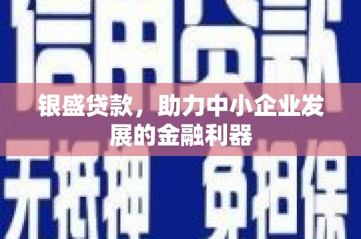 凉州银盛贷款，助力中小企业发展的金融利器
