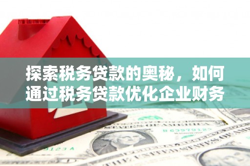 凉州探索税务贷款的奥秘，如何通过税务贷款优化企业财务