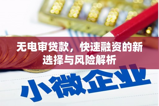 凉州无电审贷款，快速融资的新选择与风险解析