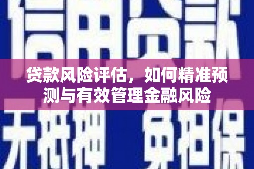凉州贷款风险评估，如何精准预测与有效管理金融风险