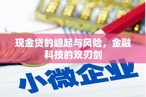 凉州现金贷的崛起与风险，金融科技的双刃剑