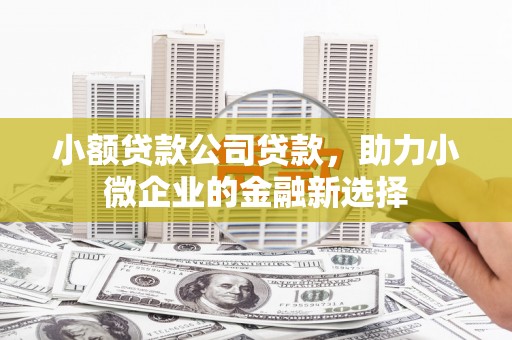 凉州小额贷款公司贷款，助力小微企业的金融新选择
