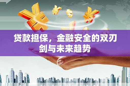 凉州贷款担保，金融安全的双刃剑与未来趋势