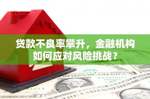 凉州贷款不良率攀升，金融机构如何应对风险挑战？
