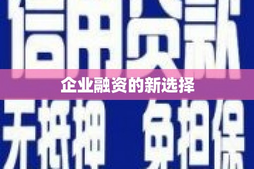 凉州企业融资的新选择