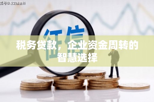 凉州税务贷款，企业资金周转的智慧选择