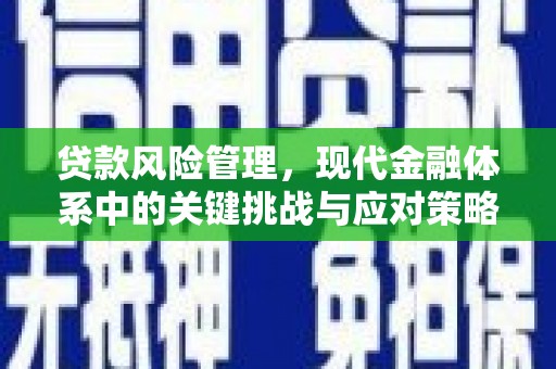 凉州贷款风险管理，现代金融体系中的关键挑战与应对策略
