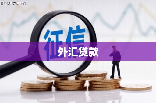 凉州外汇贷款