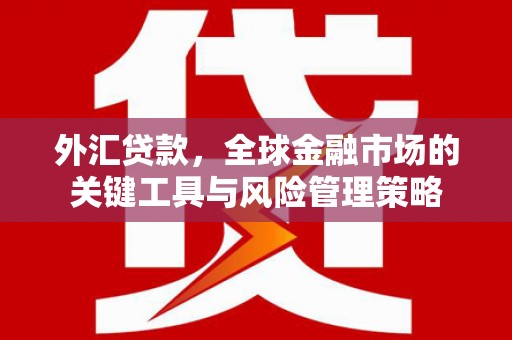 凉州外汇贷款，全球金融市场的关键工具与风险管理策略