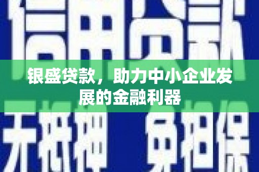 凉州银盛贷款，助力中小企业发展的金融利器