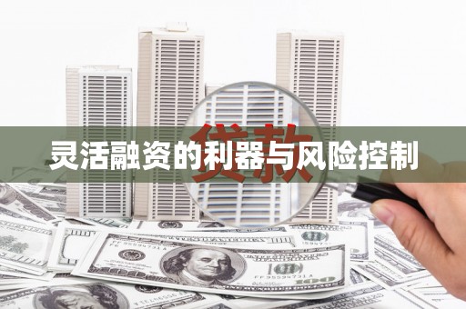 凉州灵活融资的利器与风险控制