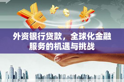 凉州外资银行贷款，全球化金融服务的机遇与挑战