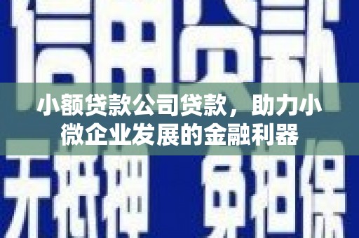 凉州小额贷款公司贷款，助力小微企业发展的金融利器