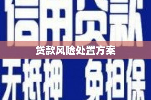 凉州贷款风险处置方案