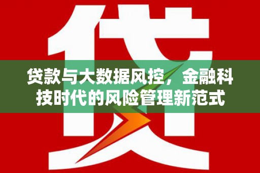 凉州贷款与大数据风控，金融科技时代的风险管理新范式