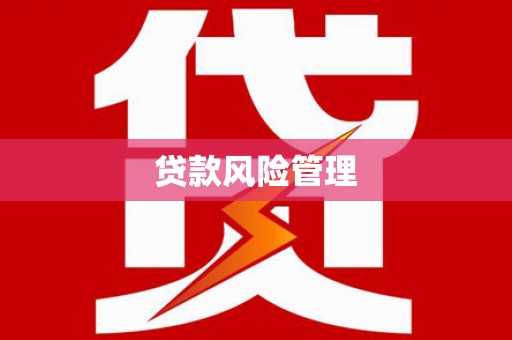凉州贷款风险管理