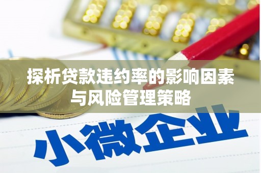 凉州探析贷款违约率的影响因素与风险管理策略