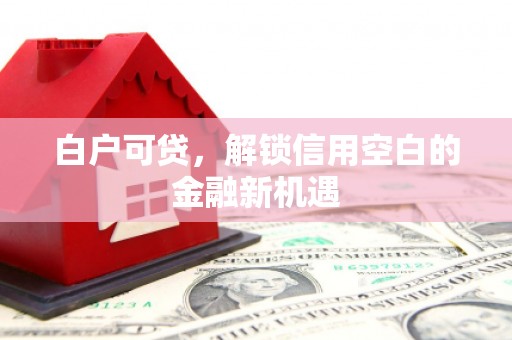 凉州白户可贷，解锁信用空白的金融新机遇