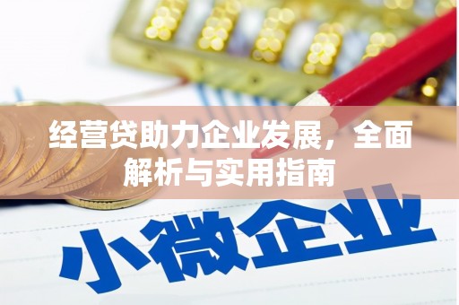 凉州经营贷助力企业发展，全面解析与实用指南