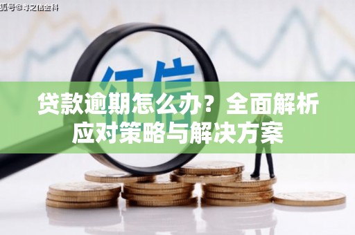 凉州贷款逾期怎么办？全面解析应对策略与解决方案