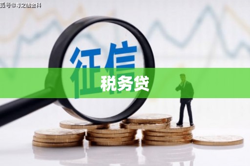 凉州税务贷