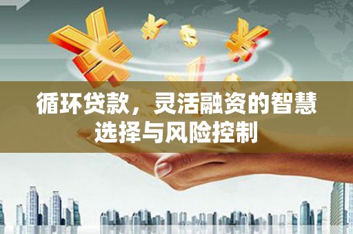 凉州循环贷款，灵活融资的智慧选择与风险控制