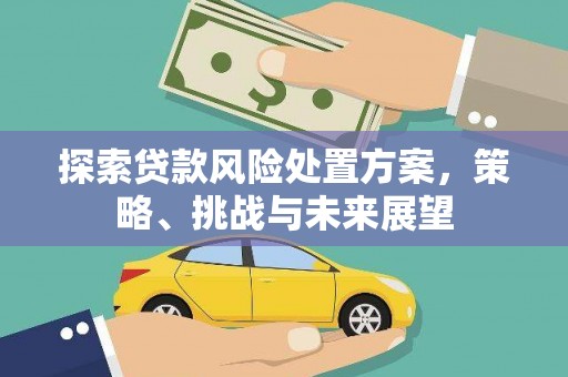 凉州探索贷款风险处置方案，策略、挑战与未来展望