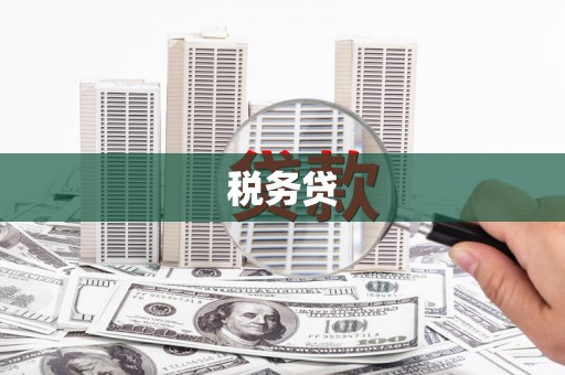 凉州税务贷