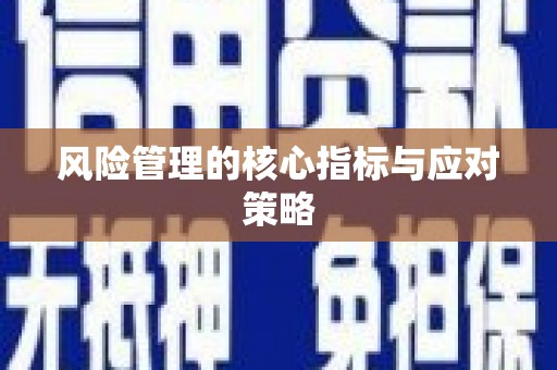 凉州风险管理的核心指标与应对策略