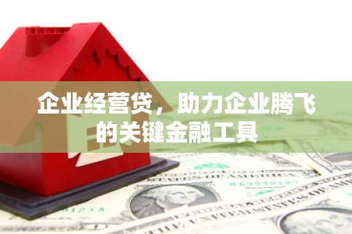 凉州企业经营贷，助力企业腾飞的关键金融工具