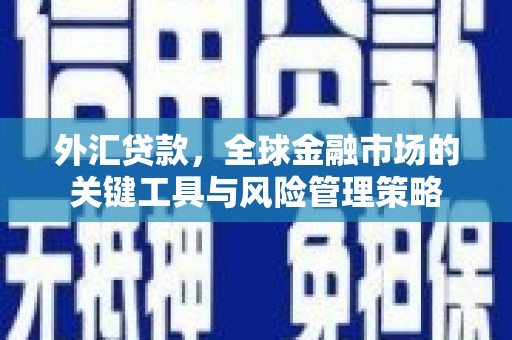 凉州外汇贷款，全球金融市场的关键工具与风险管理策略