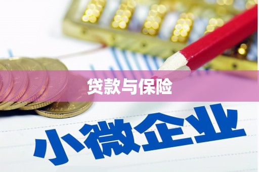 凉州贷款与保险