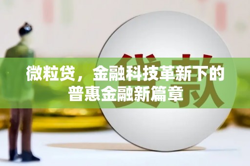 凉州微粒贷，金融科技革新下的普惠金融新篇章