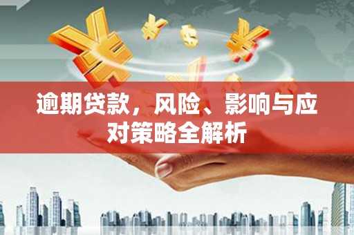 凉州逾期贷款，风险、影响与应对策略全解析