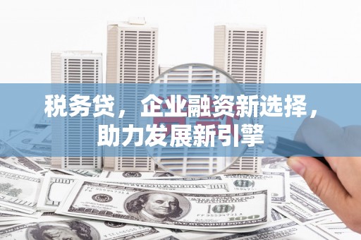 凉州税务贷，企业融资新选择，助力发展新引擎