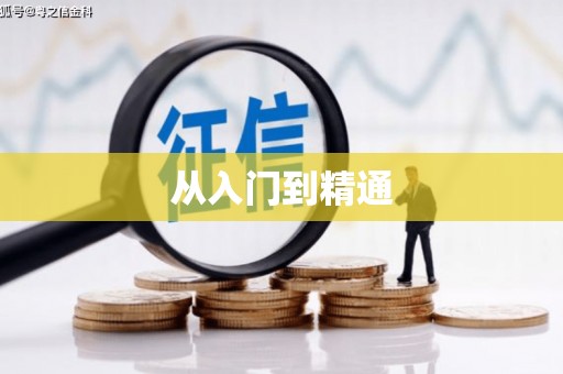 凉州从入门到精通